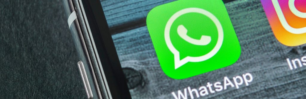 novita whatsapp